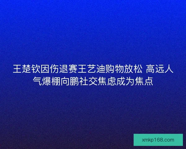 王楚钦因伤退赛王艺迪购物放松 高远人气爆棚向鹏社交焦虑成为焦点